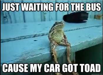 Toad