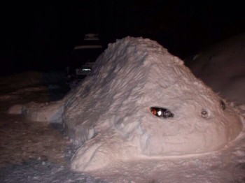 Mazdasaurus