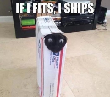 If I Fits