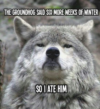 Six More Weeks of Winter
