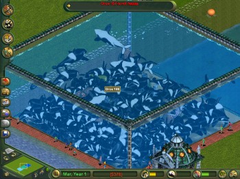 Orca 167 is such a winy bitch