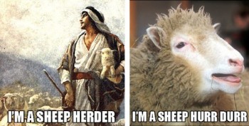 Hurr Durr