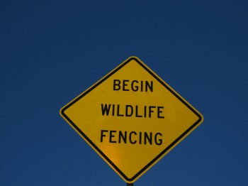 Do They At Least Get A Sword?