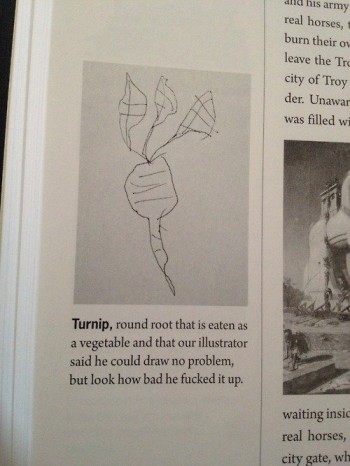 Turnip Fail