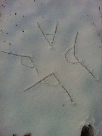Snow Angles