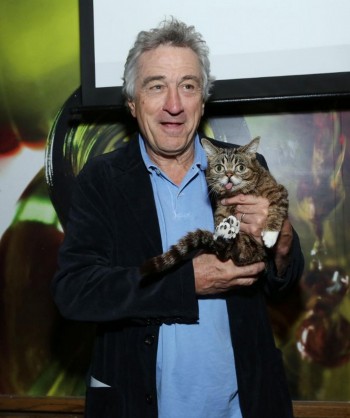 De Niro And Derp Cat
