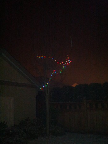 My Landlord Went All Out This Year