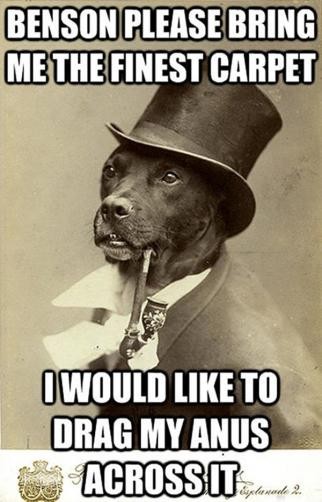 Bring Me Your Finest Carpets!