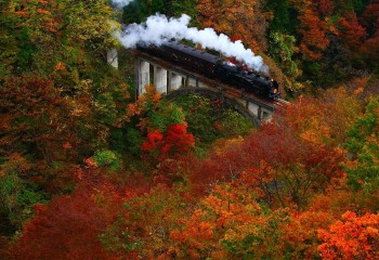 Autumn Colors