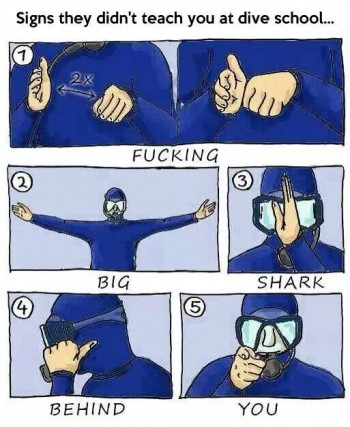 Signs they didn't teach you at dive school