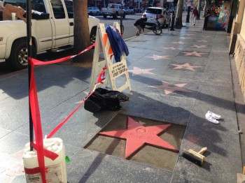 The Making of A New Star