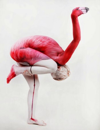 Human Flamingo