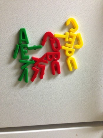 Fridge Magnets