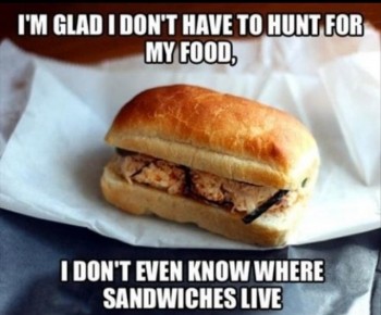 Hunting for food