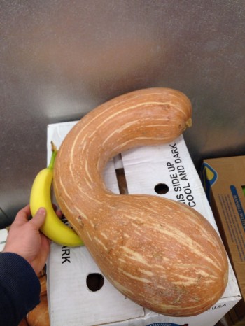 Big Squash