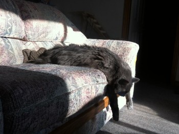 Moving Is So Hard