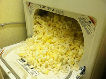 Don't Put A Dog Bed In The Dryer
