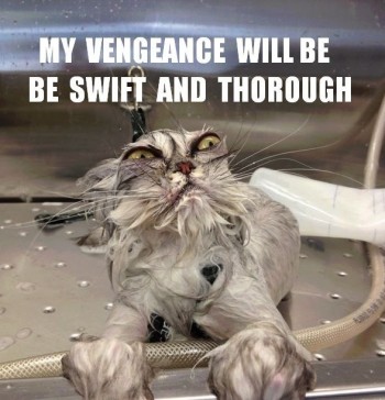 Vengeance