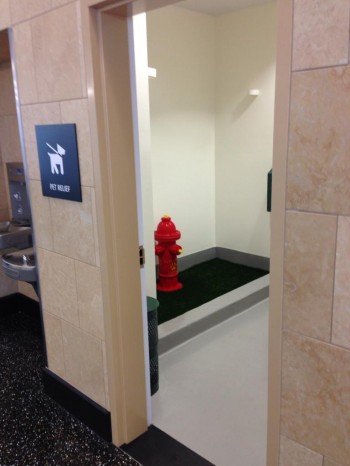 Bathroom for Dogs