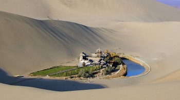 Oasis