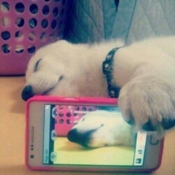 Babe caught me slippin