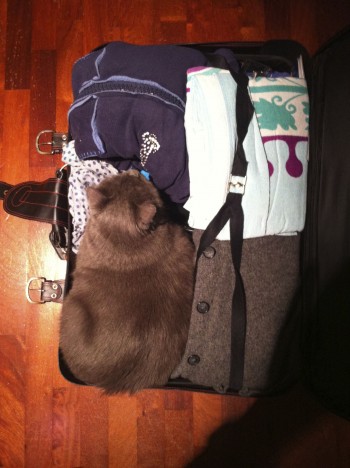 I fit. Ok, let's go.