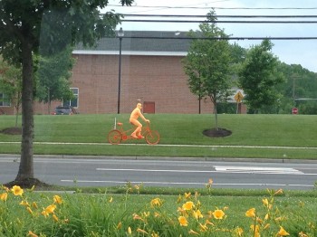 Orange you glad I wore orange?