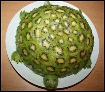 Kiwi Turtle