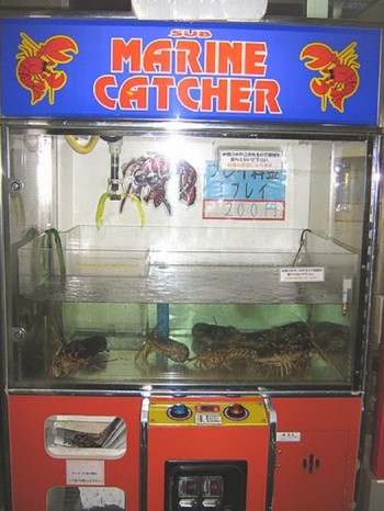 Marine catcher