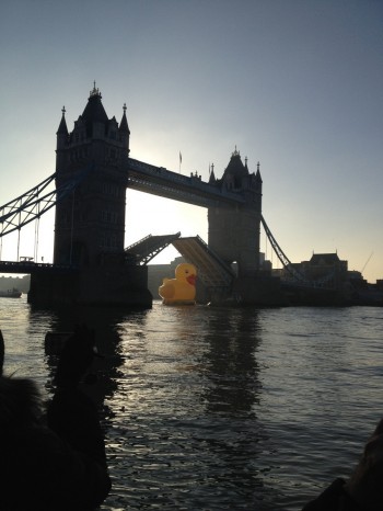 London bridge opens for a rubber duckie