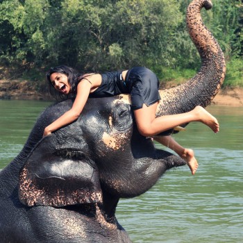 Playing with an elephant in Thailand