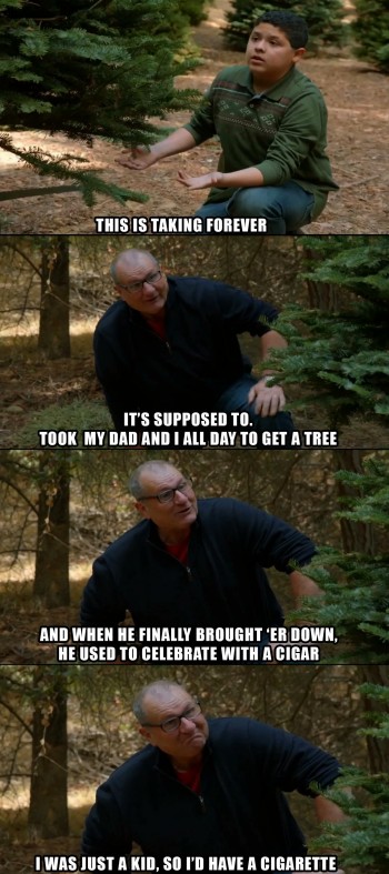 Picking A Tree