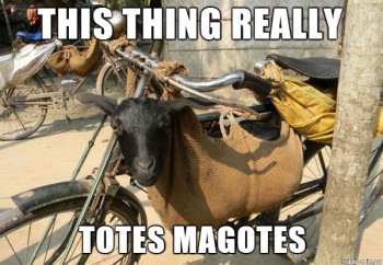 Totes Magotes