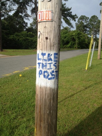 Like This Post