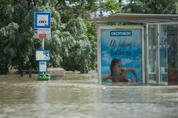 Surfin' The Floods