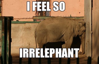 I Feel So