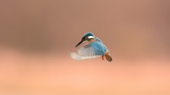 Floating