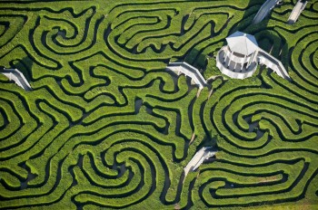 Maze