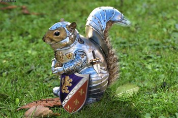 Armored Squirrel