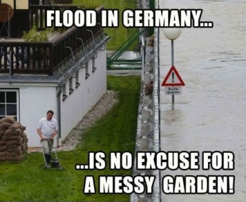 Flood? Gotta Cut The Lawn