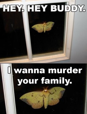 Mothman