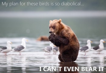 Diabolical Bear Is Diabolical