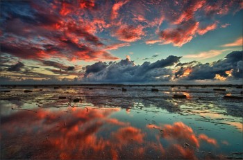 Red Reef Sky