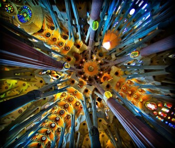 Ceiling of Sagrada Familia, Barcelona