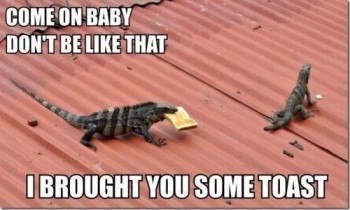 Come On Baby