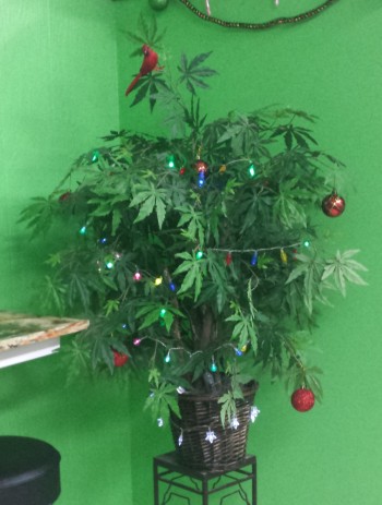 Weed Christmas Tree