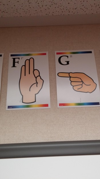 Sign Language