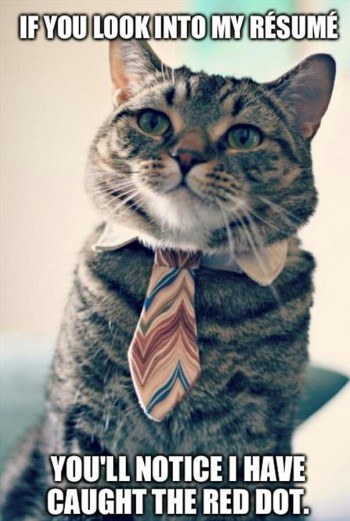 Cat Resume