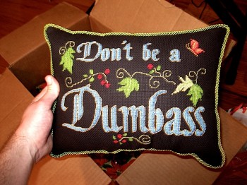 Don't be a Dumbass Pillow
