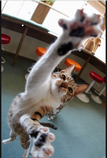Come Here!